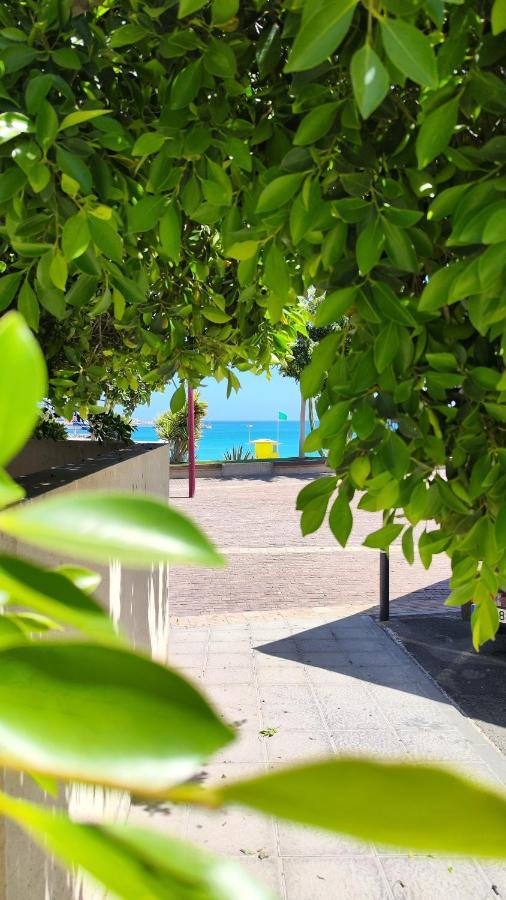 Fabelo Apartment, Puerto Del Rosario Puerto del Rosario  Buitenkant foto
